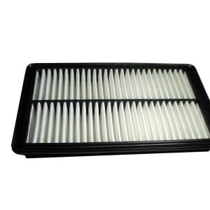 فیلتر هوا تیگو 5 T21 – 1109111