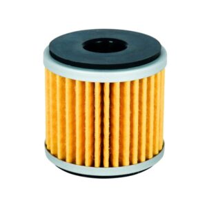 فیلتر روغن بنلی 250 TRK